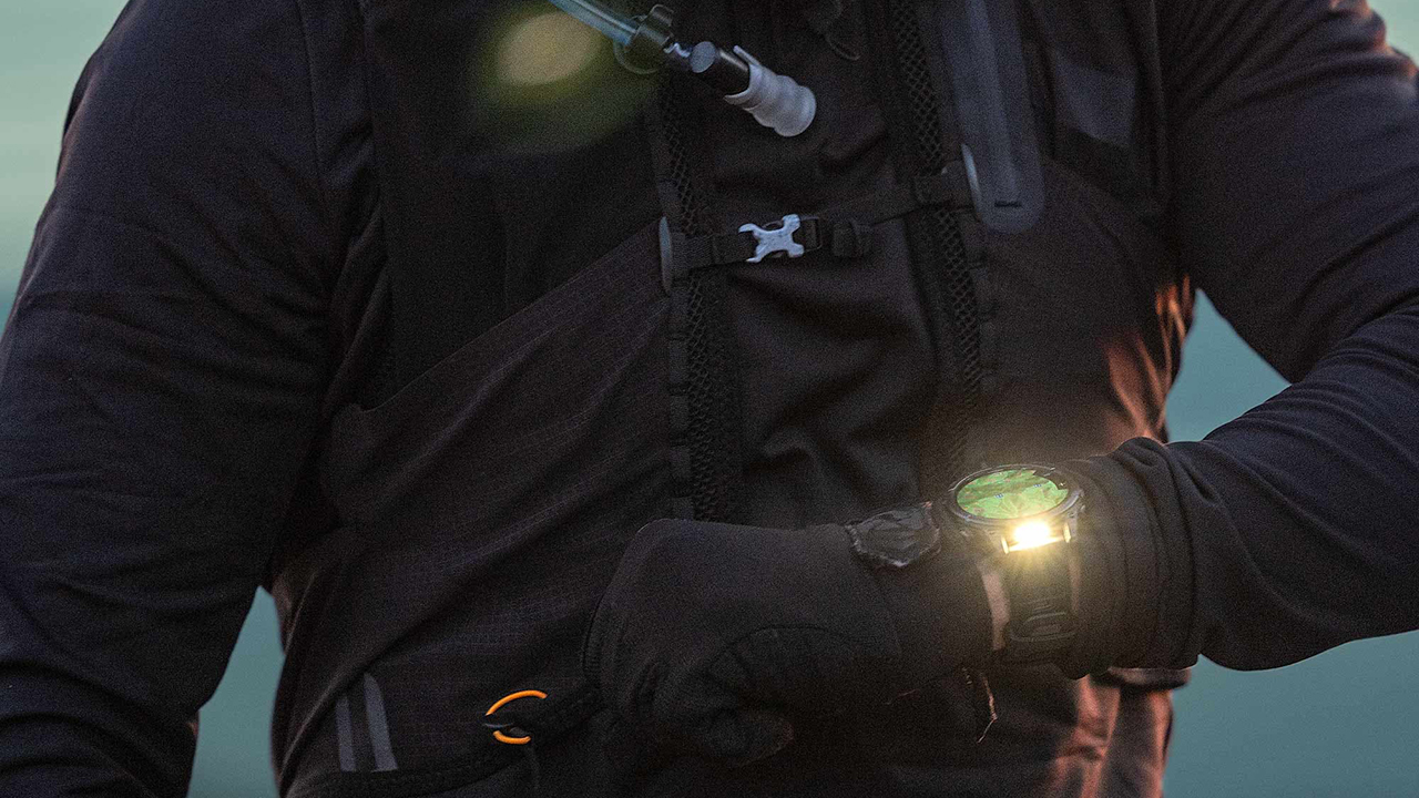 Спортивные часы Garmin fenix 8, 43 мм, AMOLED, сталь, силиконовый ремешок цвета «Уайтстоун» — Свет – прямо на запястье